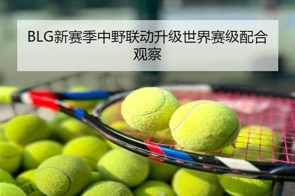 BLG新赛季中野联动升级世界赛级配合观察