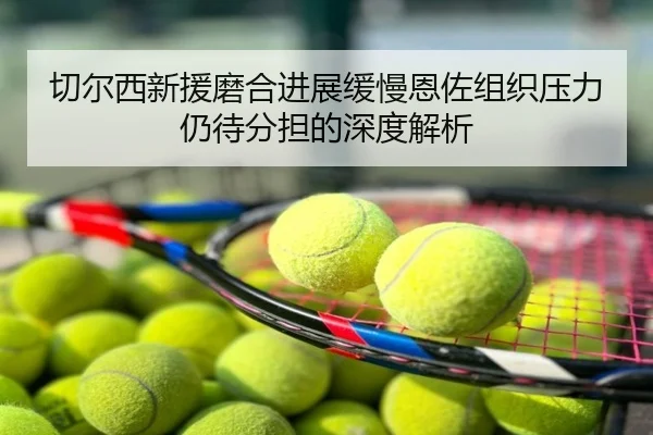 切尔西新援磨合进展缓慢恩佐组织压力仍待分担的深度解析