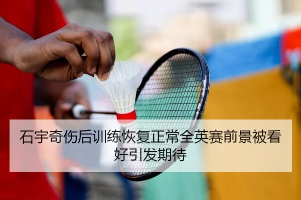 石宇奇伤后训练恢复正常全英赛前景被看好引发期待
