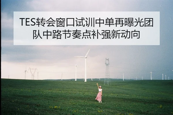 TES转会窗口试训中单再曝光团队中路节奏点补强新动向