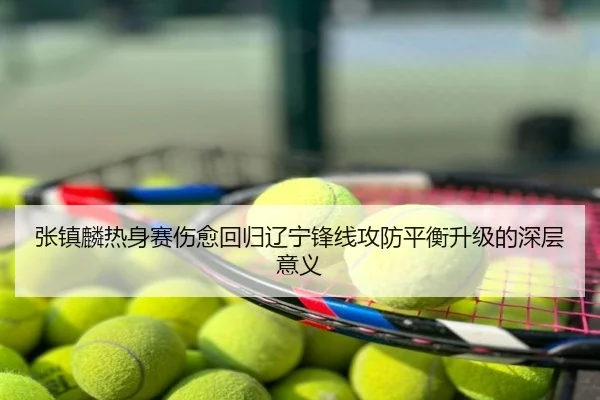 张镇麟热身赛伤愈回归辽宁锋线攻防平衡升级的深层意义