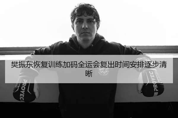 樊振东恢复训练加码全运会复出时间安排逐步清晰